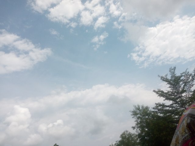 IMG_20250813_143043_567.jpg
