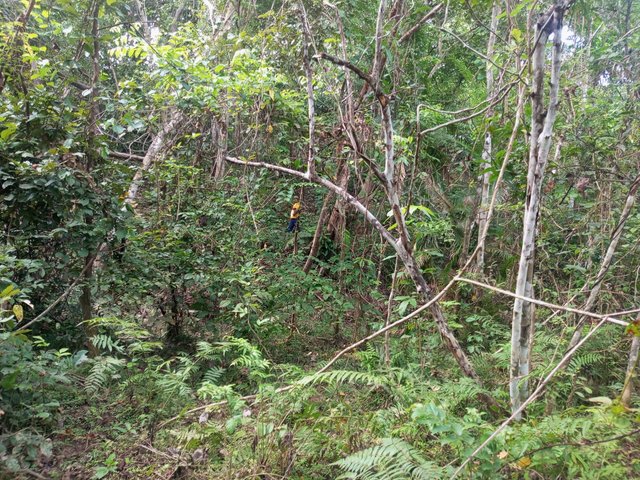 IMG_20250625_075806_154.jpg