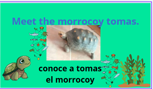 po.PNG
