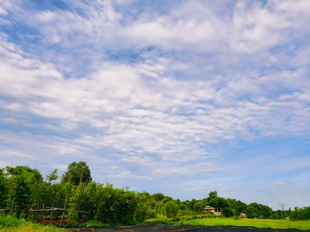 IMG_20250620_084745.jpg
