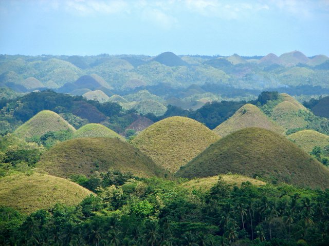 Chocolate_Hills_overview.JPG