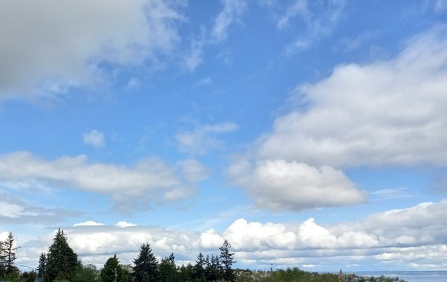20250531_110802.jpg