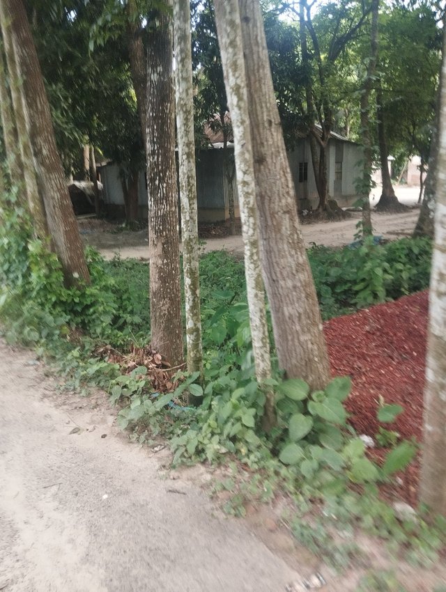 1000027157.jpg