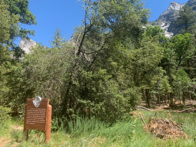 Yosemite18.jpg