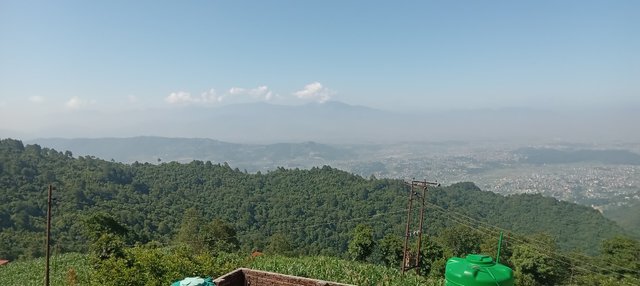 20250607_085805.jpg
