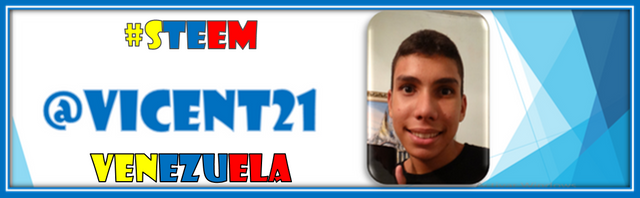 Vicent21 Firma Steem  Venezuela Steemit..png