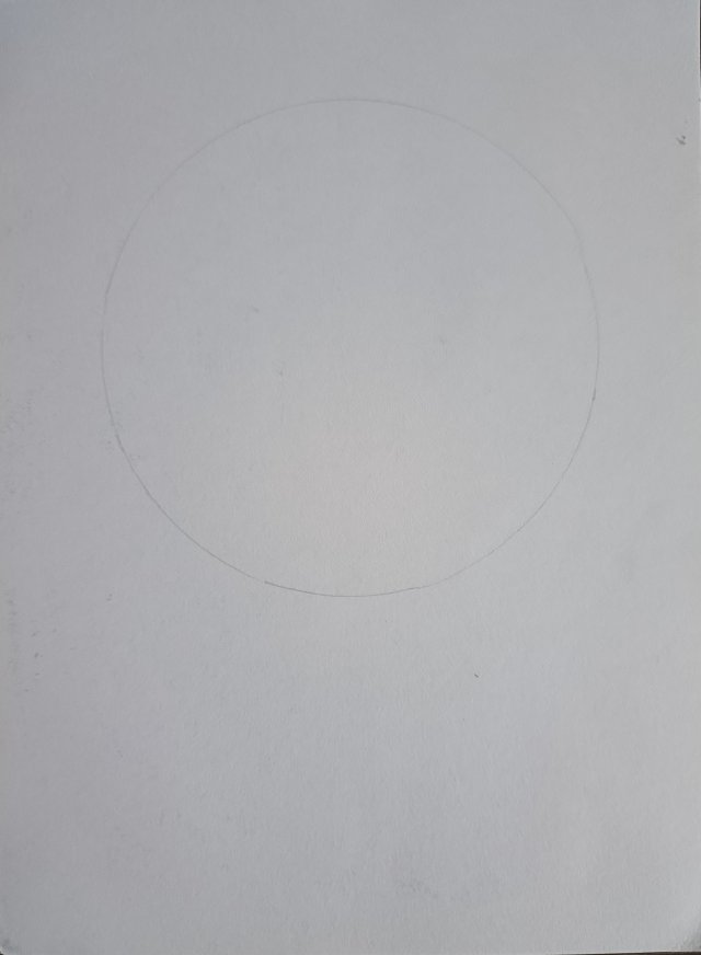 1748744644230.jpg