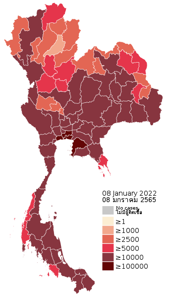 COVID-19_Cases_in_Thailand_by_province.svg.png