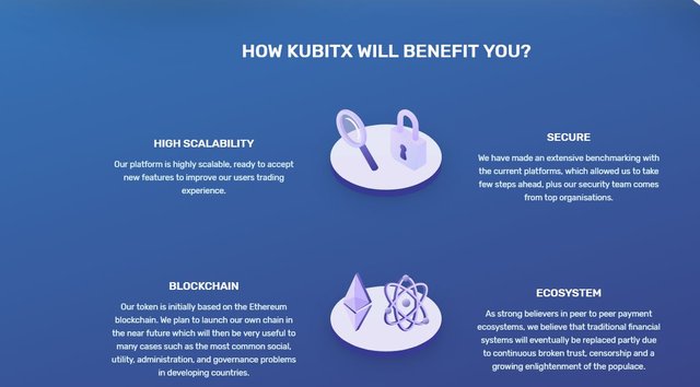 KubitX1.JPG