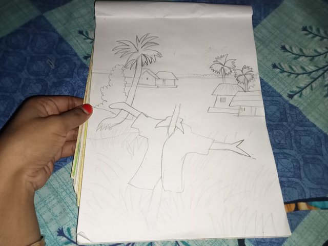 IMG20250527132226.jpg