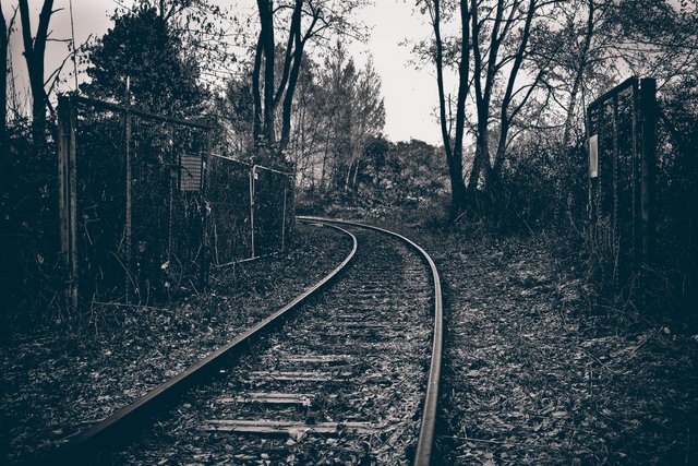 black-and-white-track-railway-morning-old-atmosphere-1362199-pxhere.com.jpg