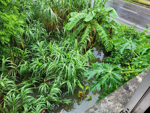 20250709_101718.jpg