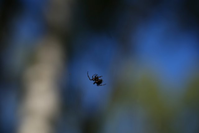 DSC03815.jpg