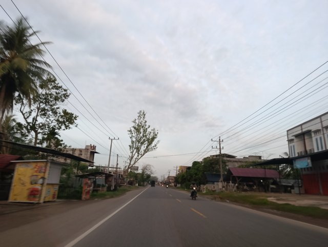 1000035328.jpg