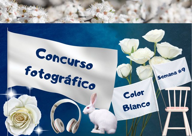 concurso fotografico #5 (4).jpg