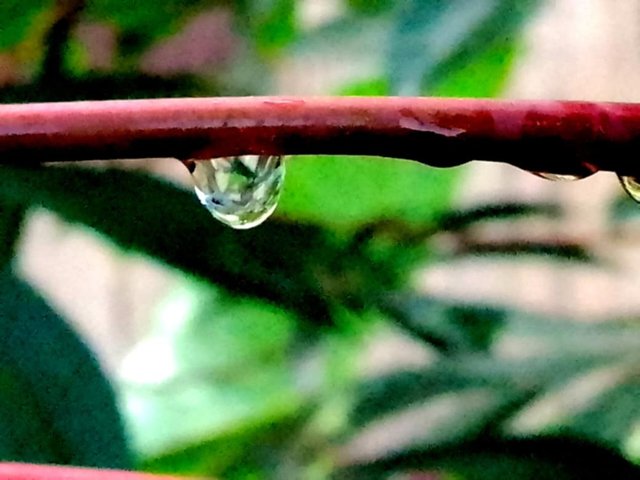 Messenger_creation_A5885059-8816-4408-A619-A46409F16A98.jpeg
