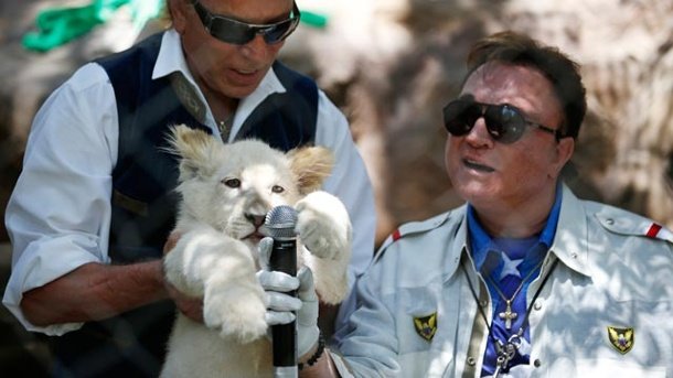 putzige-loewenbabys-die-magier-siegfried-li-und-roy-haben-in-ihrem-zoo-wieder-weissen-nachwuchs-bekommen-.jpg