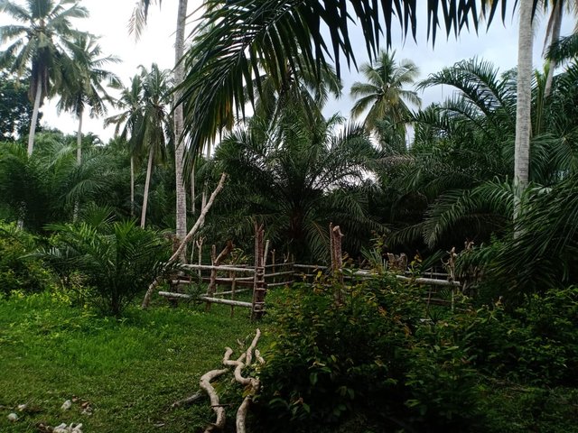 10b8f708-6ff5-4b60-8d35-692d79d23341.jpeg