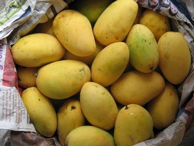 Chaunsa-Mango-exporters-and-suppliers-from-Pakistan.jpg_640x640.jpg