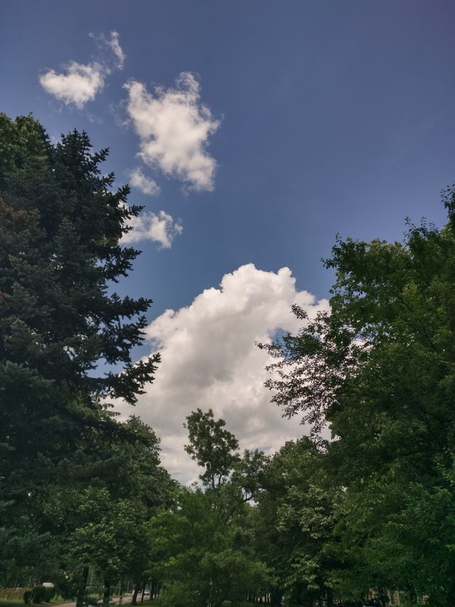 IMG_20250523_143734_HDR.jpg