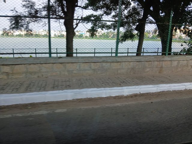 20250607_081519.jpg