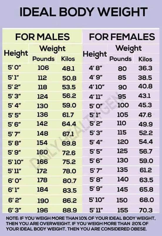 Weight Reference Chart