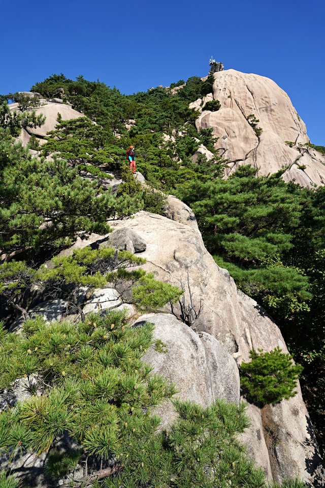 b-DSC01192.JPG