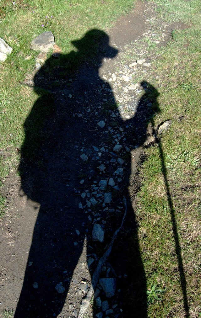 shadow-1665061_1280.jpg