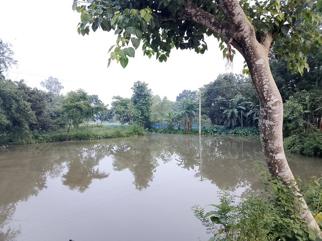 1000047140.jpg