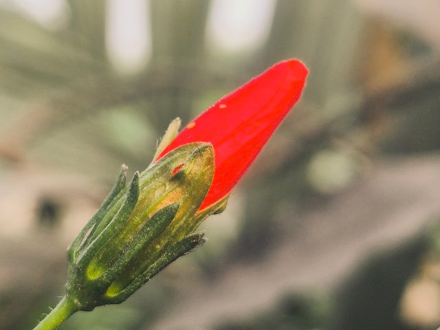 IMG_20250311_173032.jpg