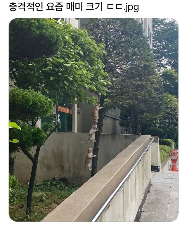 1000127562.jpg