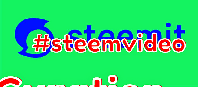 artesteemit-vi.png