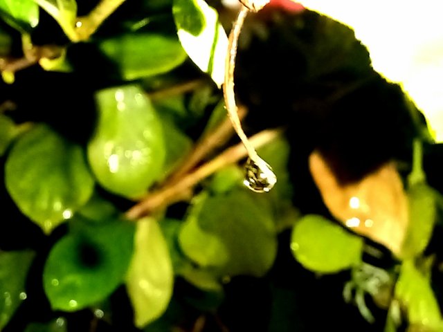 20250616_190704.jpg
