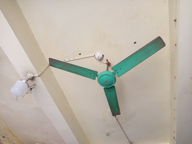 1000010705.jpg