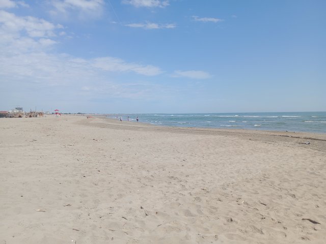IMG_20250604_110238.jpg