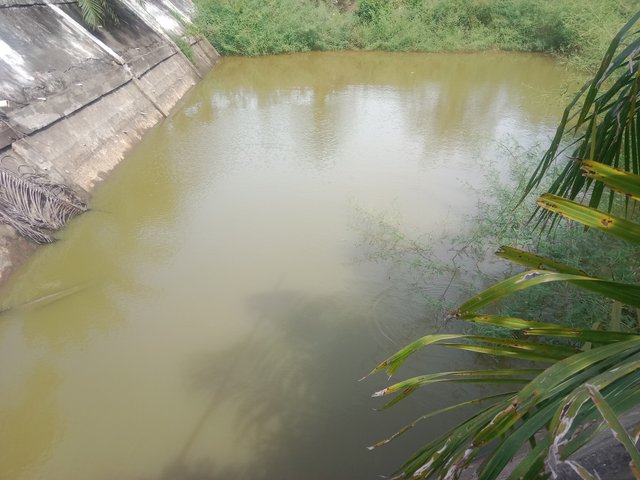 IMG_20250910_145644.jpg