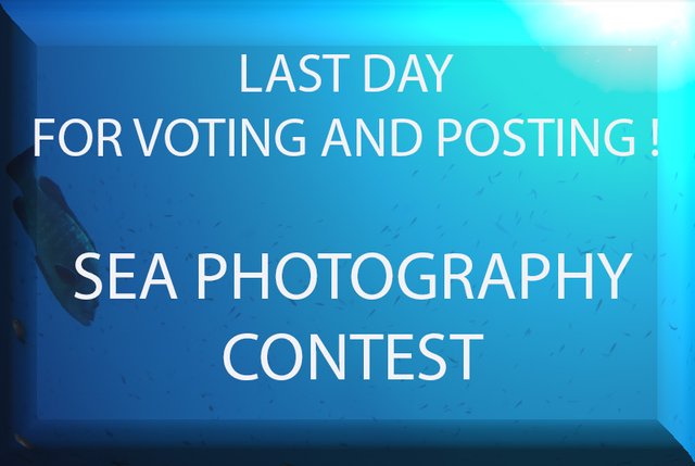 photo contest last day.jpg