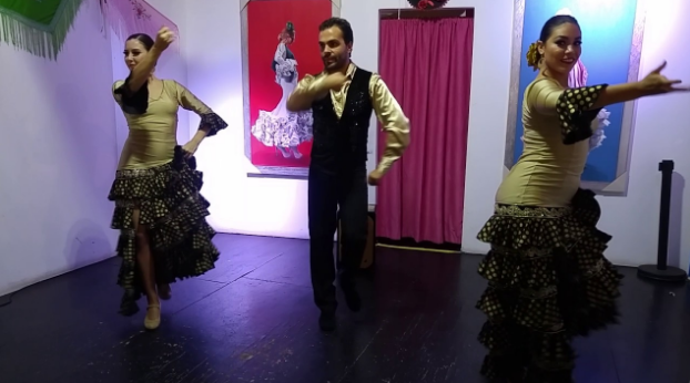 flamengo dance.png