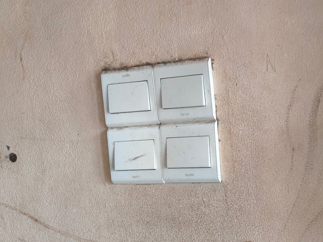 1000050985.jpg