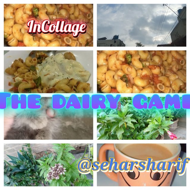 InCollage_20250708_094855568.jpg