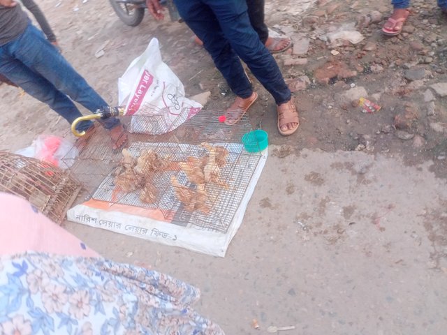IMG20250613184848.jpg