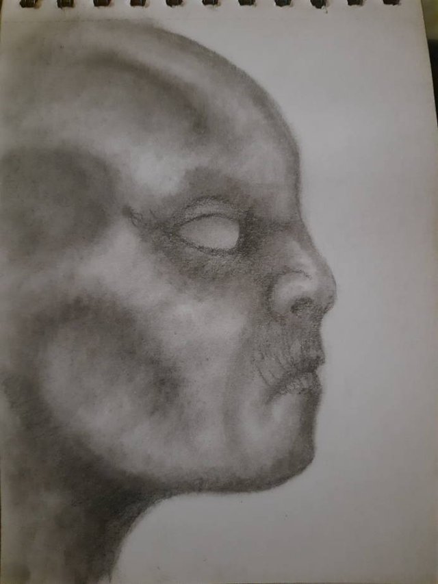20250915_111143.jpg