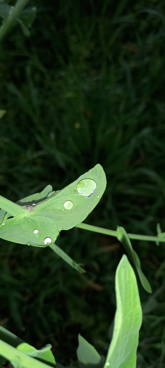 20250225_100851.jpg