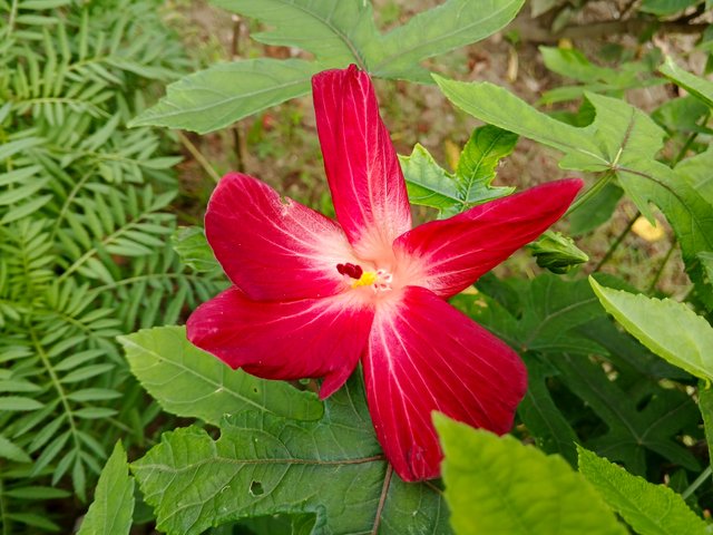 IMG_20251005_130734_263.jpg