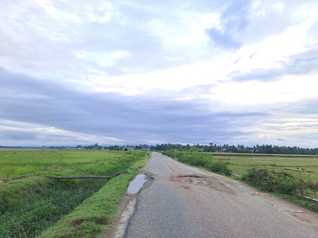 1000373433.jpg