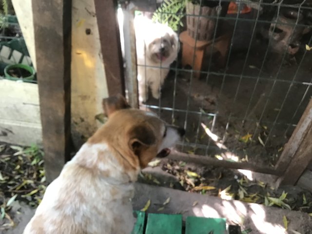 IMG_0078.jpeg