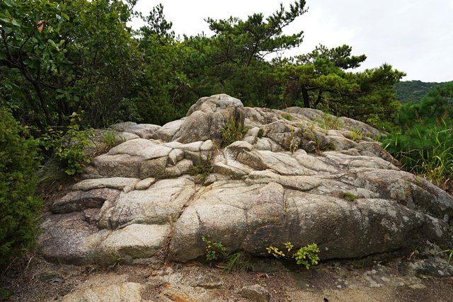 b-DSC02178.JPG