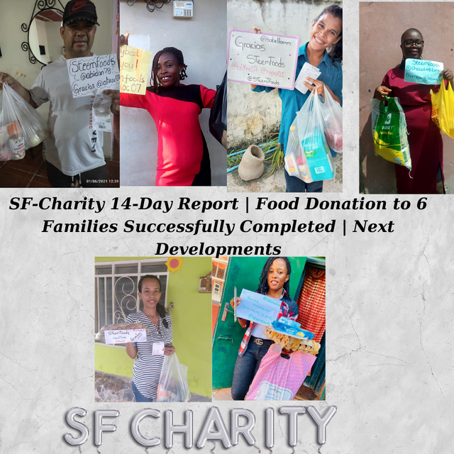 SF Charity 14 Day Report.png