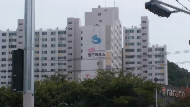 daegu.jpg