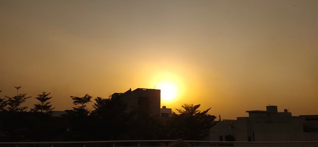 IMG_20210604_182627.jpg